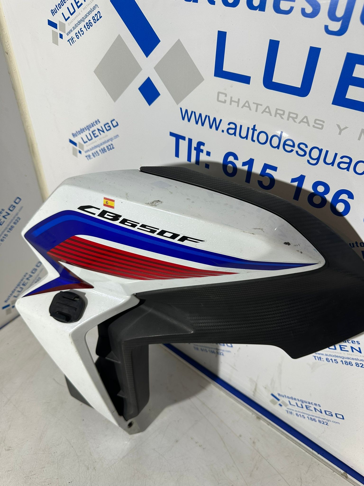 Lateral izquierdo Suzuki GS 500 F 2007