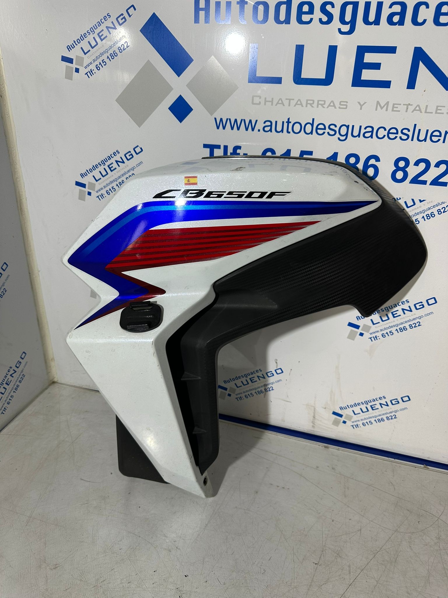 Lateral izquierdo Suzuki GS 500 F 2007