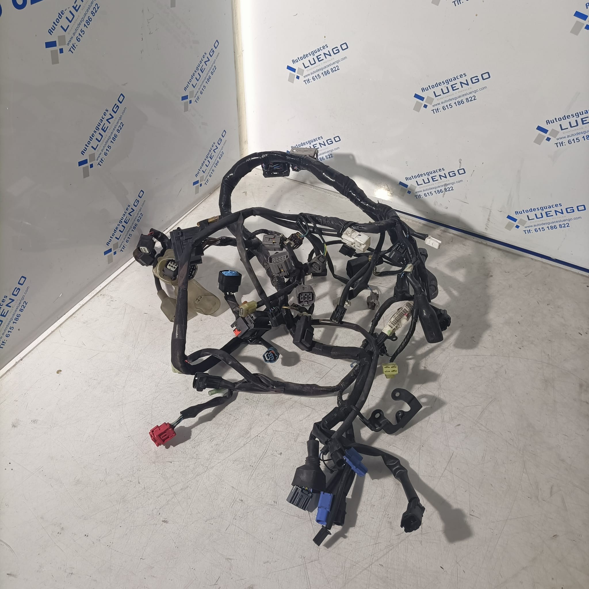 Cableado Kawasaki Z650 2022