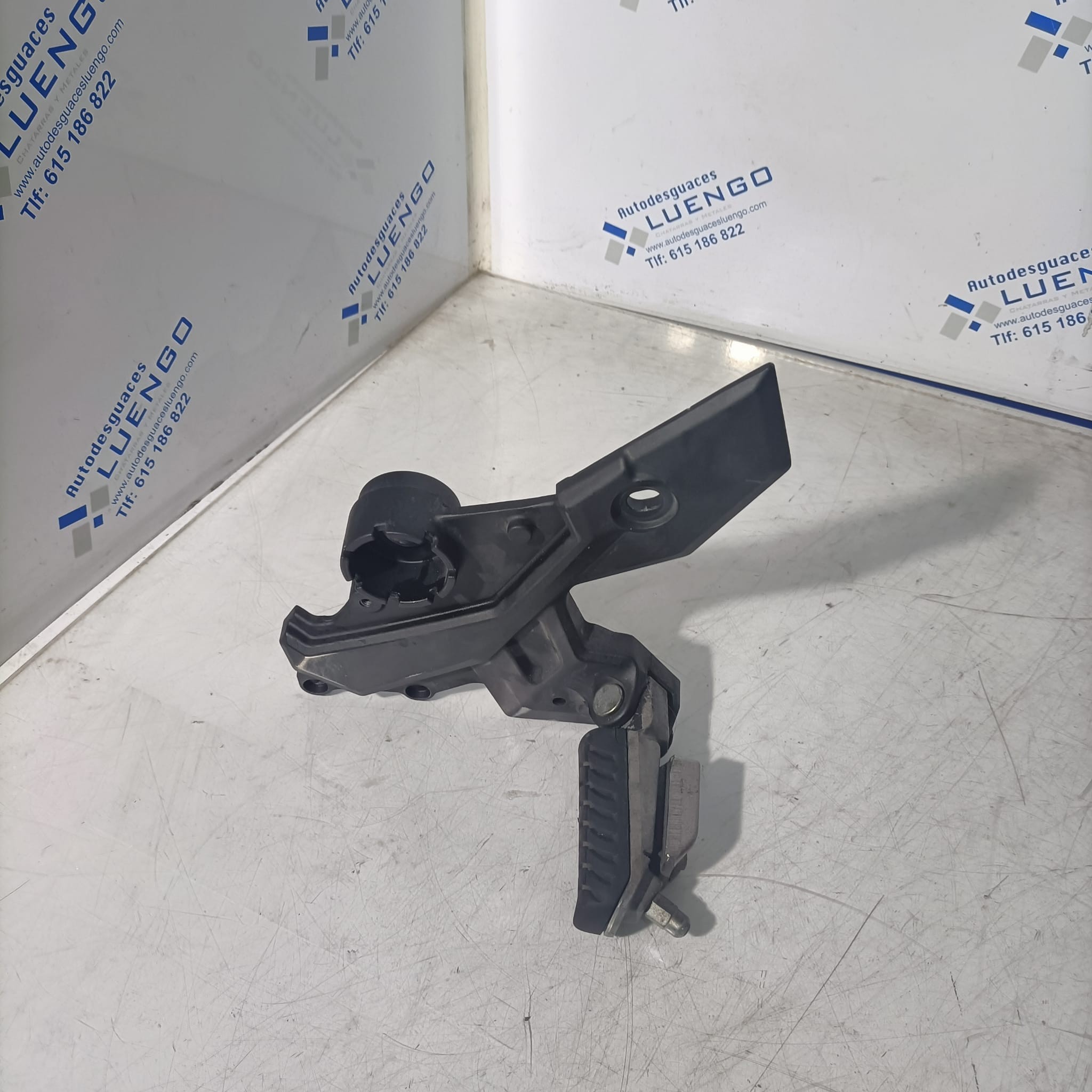 Estribera lado derecho Kawasaki Z650 2022