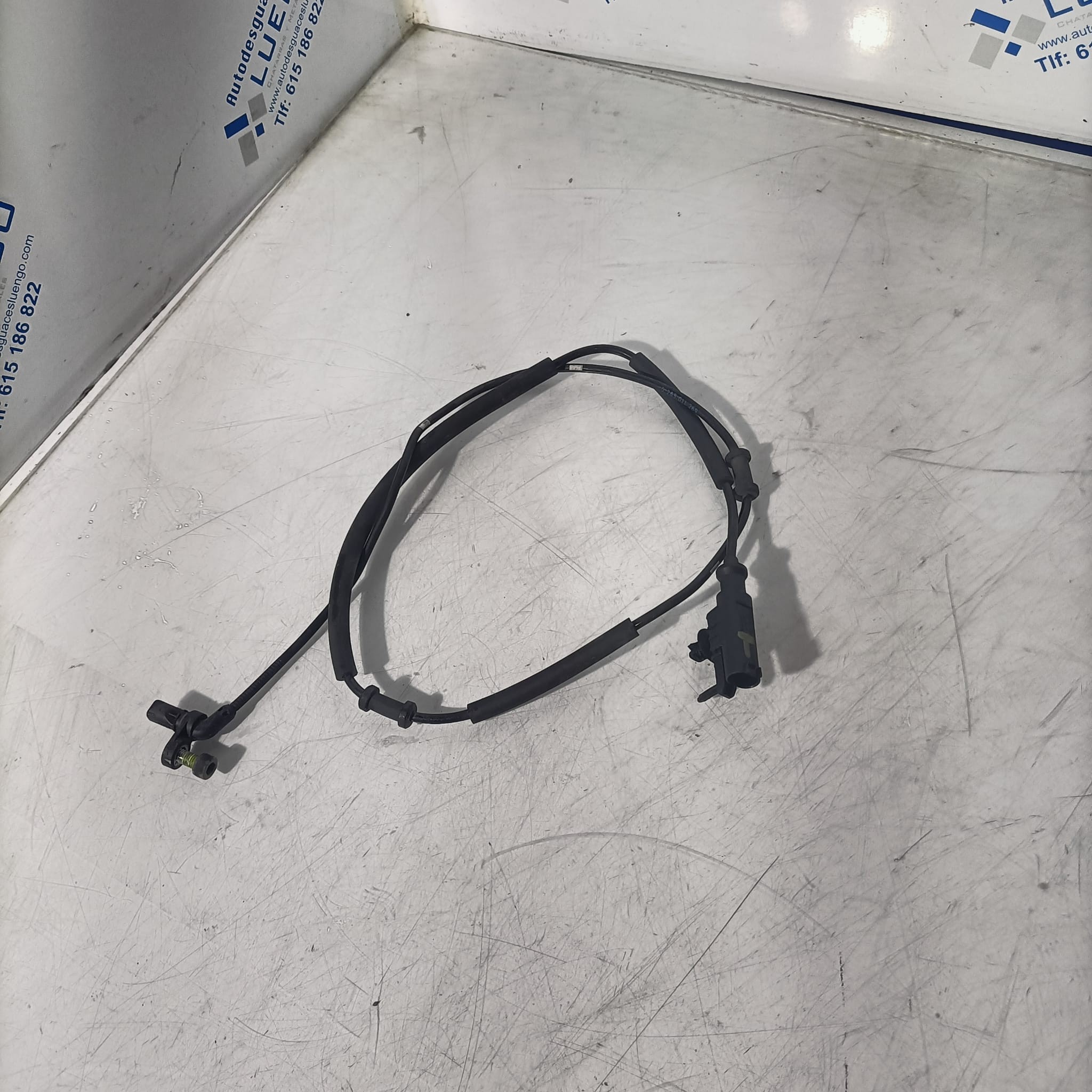 Sensor velocidad rueda trasera Kawasaki Z650 2022