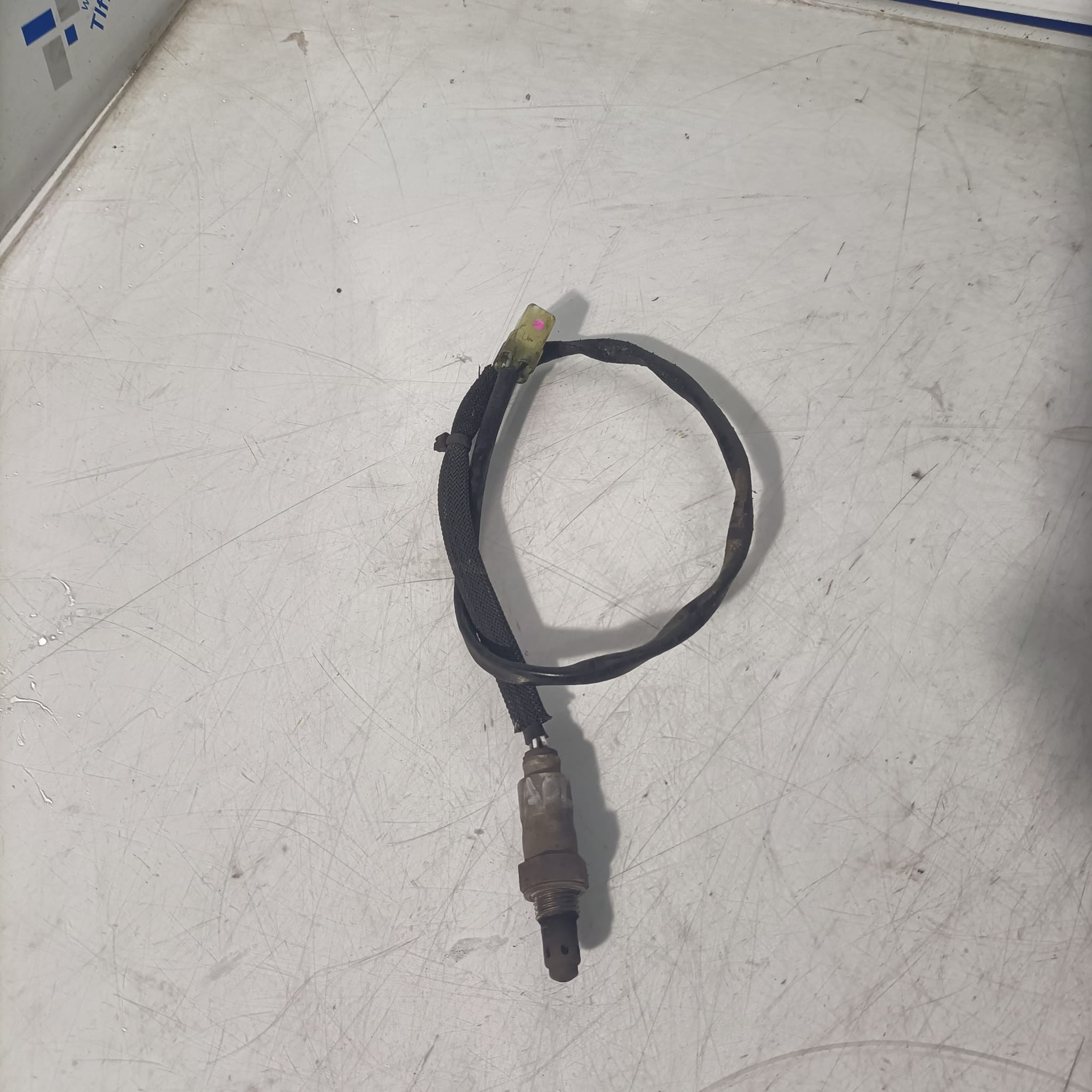 Sonda lambda Kawasaki Z650 2022