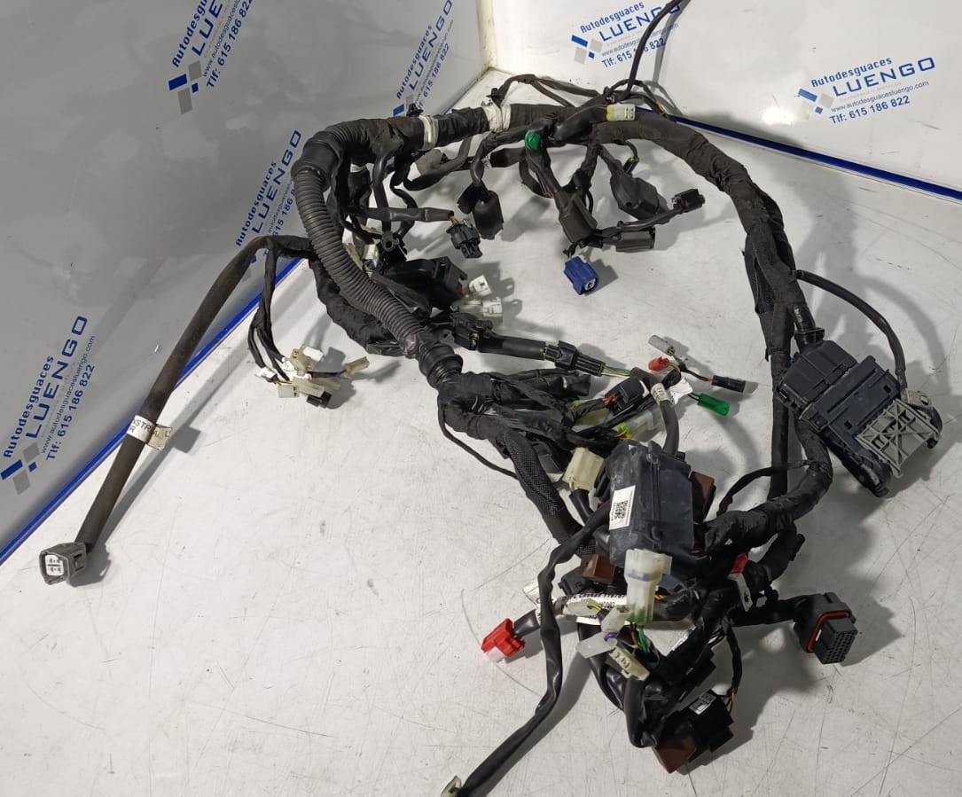 Cableado Husqvarna Svartpilen 125 2024