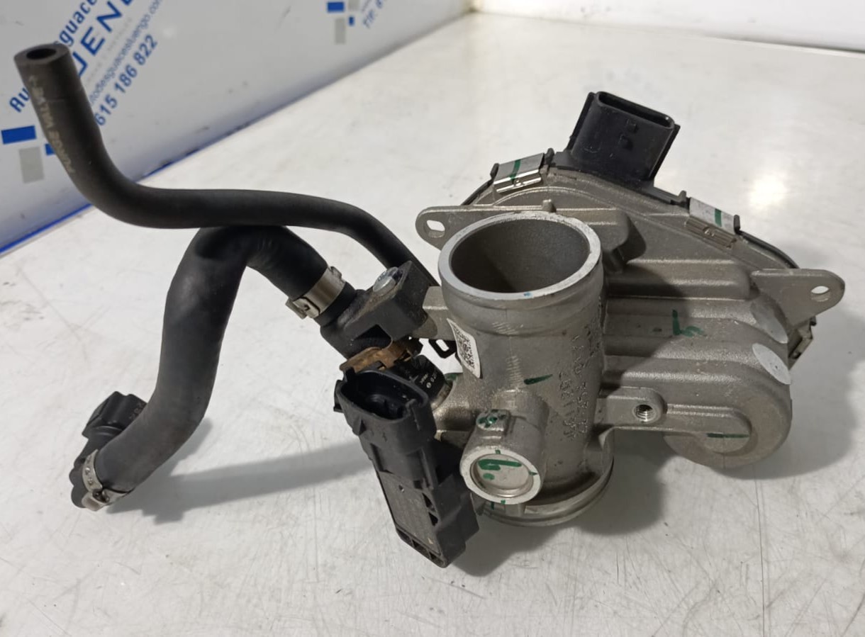 Cuerpo de mariposas Husqvarna Svartpilen 125 2024
