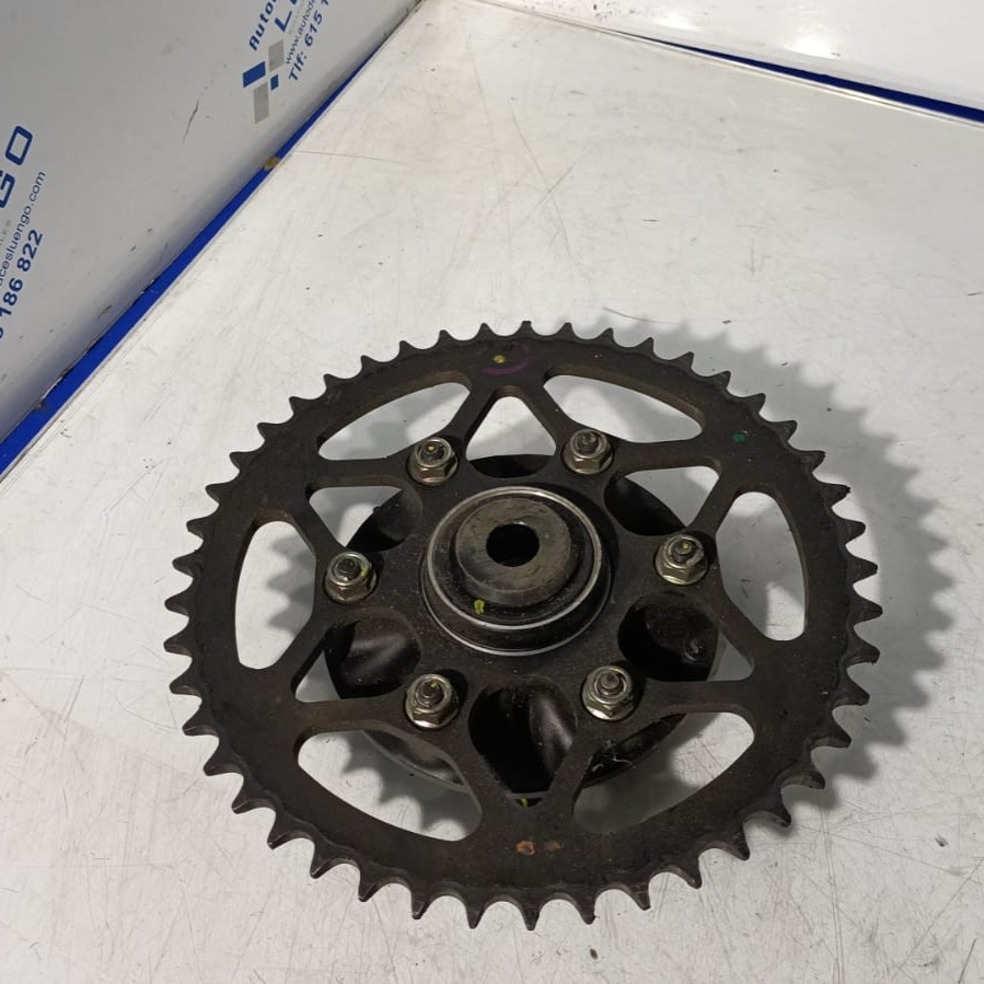 Portacorona Husqvarna Svartpilen 125 2024