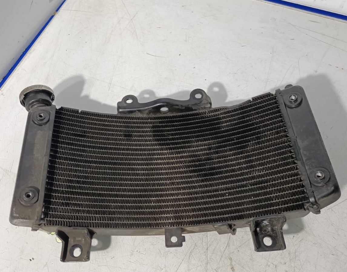 Radiador Husqvarna Svartpilen 125 2024