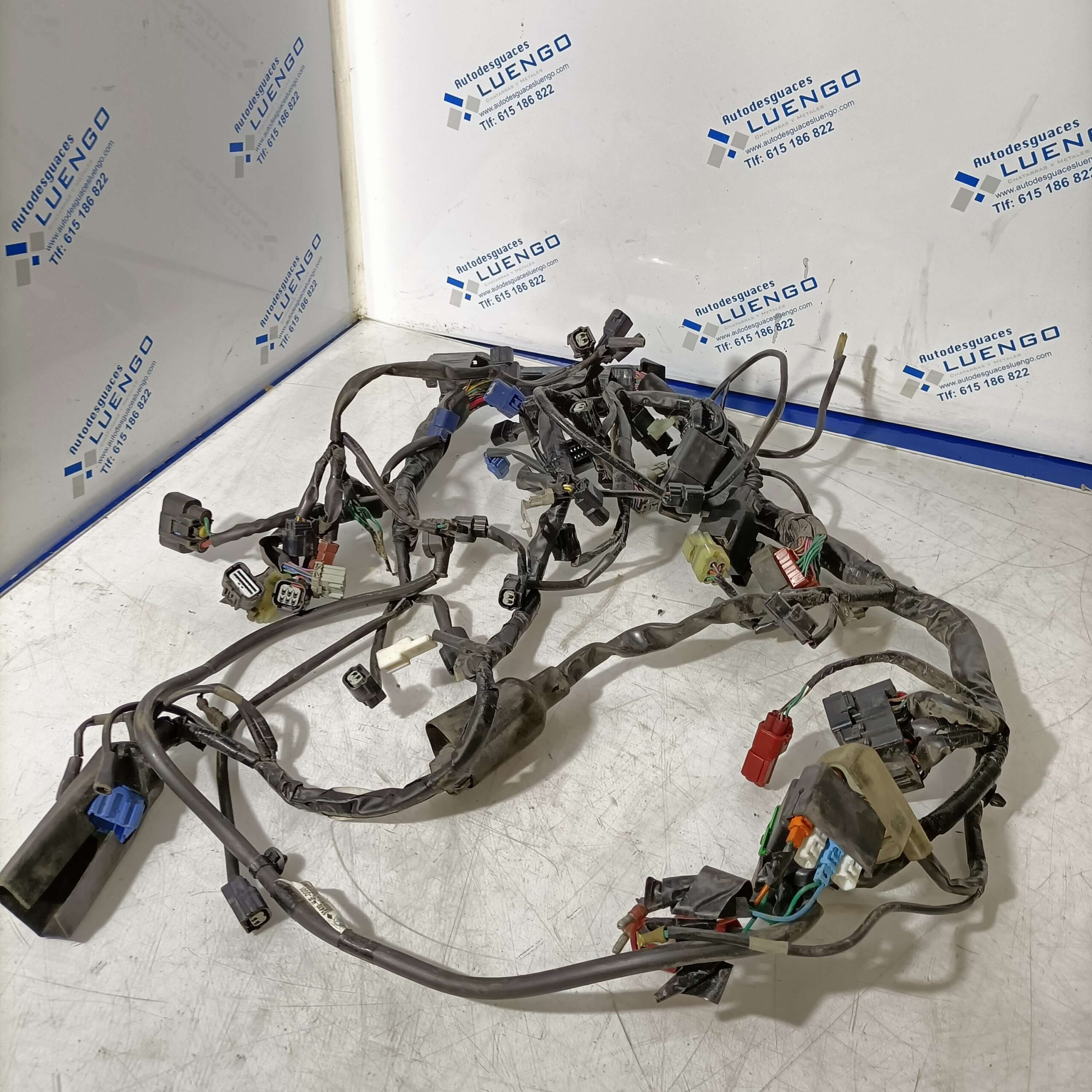 Cableado Honda CB 650 F 2014