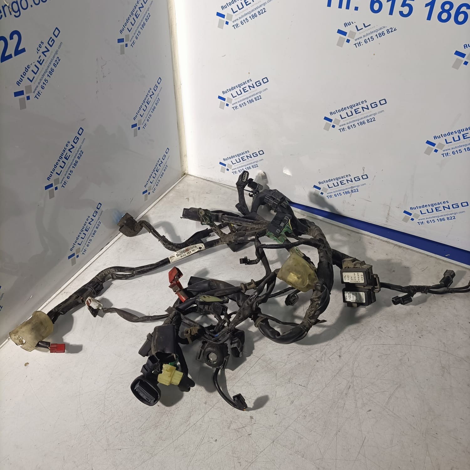 Cableado Honda CBF 125 2022