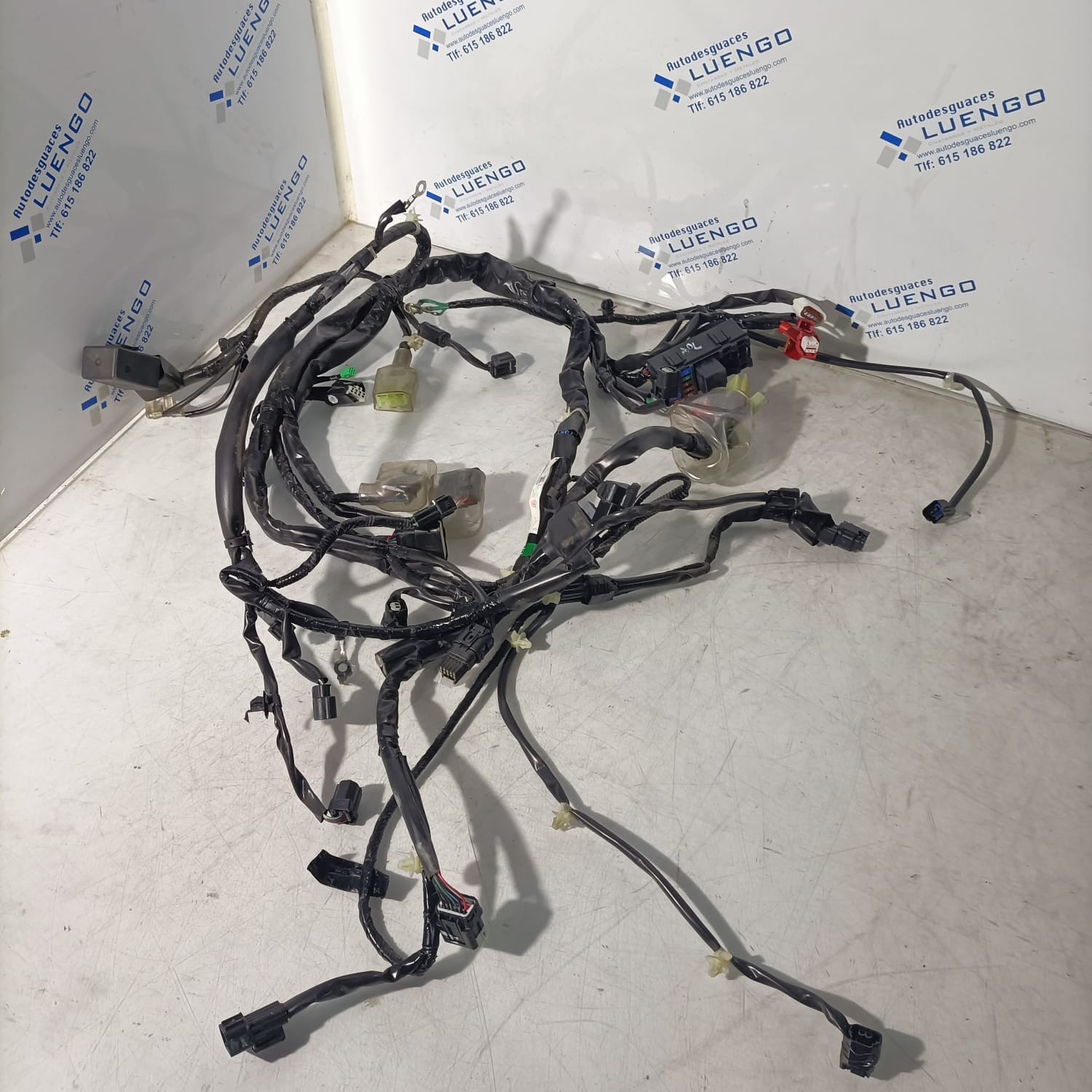 Cableado Honda PCX 125 2025