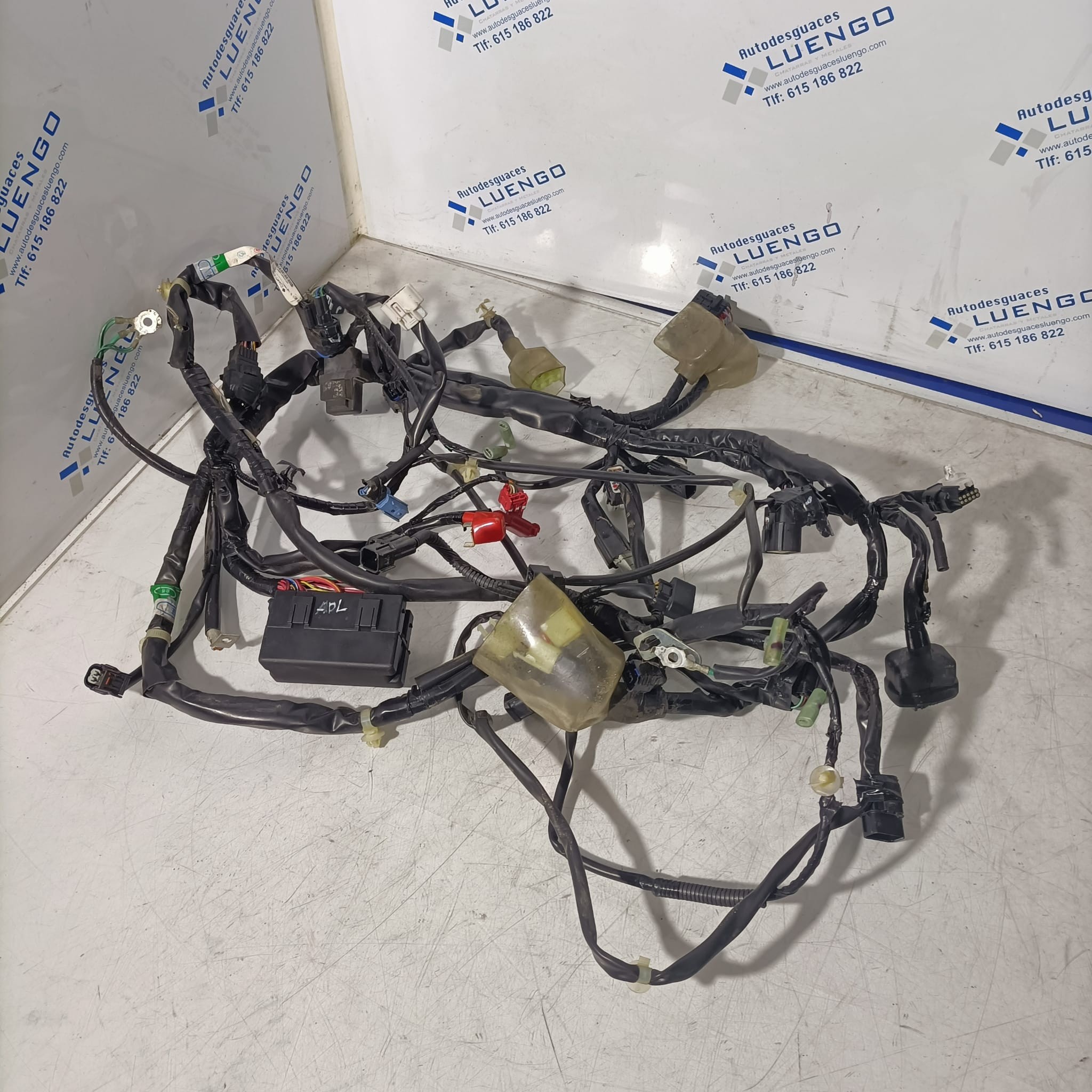 Cableado Honda PCX 125 2021