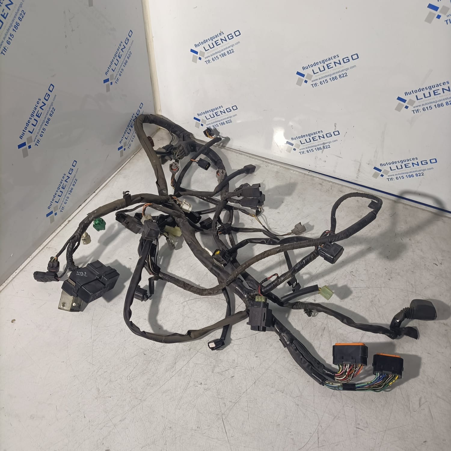 Cableado Suzuki GSX 650 F 2008